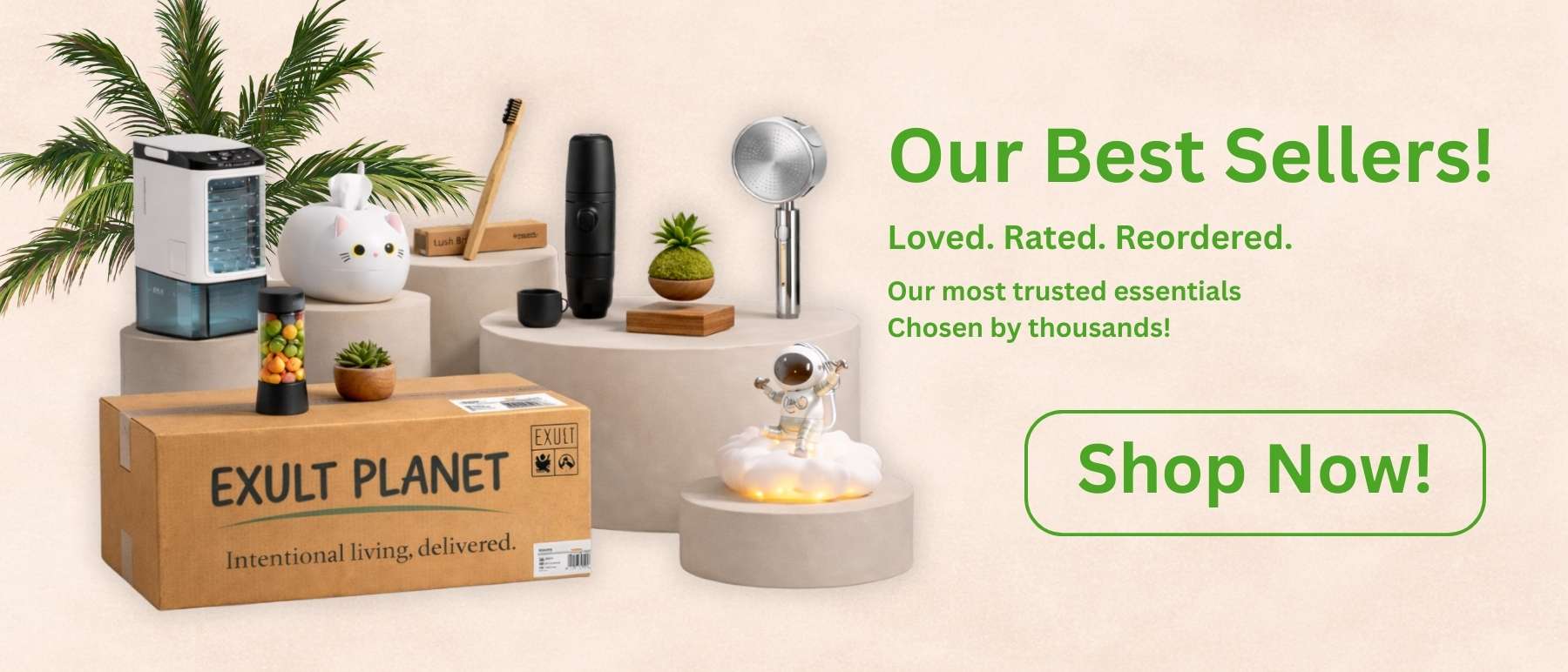 Elevate Your Home, Sustainably
